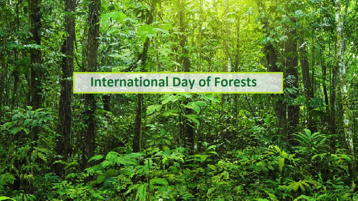 international day of forests.1