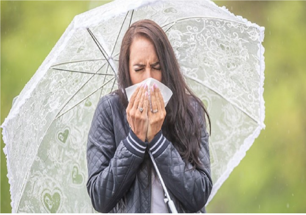 Health Tips: વરસાદની મોસમમાં ખતરનાક બની શકે છે આ બીમારીઓ, જાણો લક્ષણો અને નિવારણ