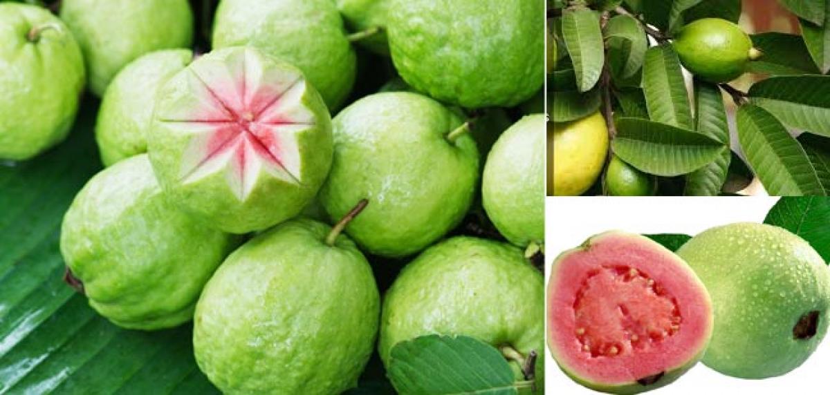5793 Guava