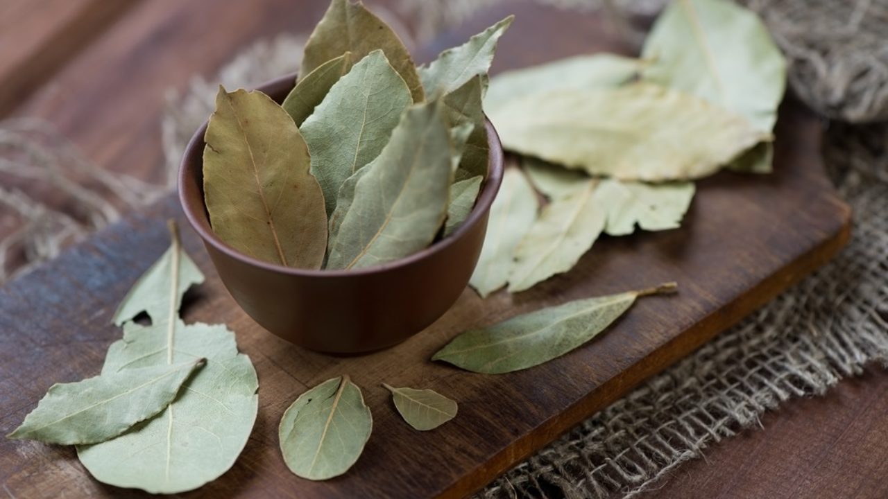 Bay Leaf Featured Image 2 1280x720 1