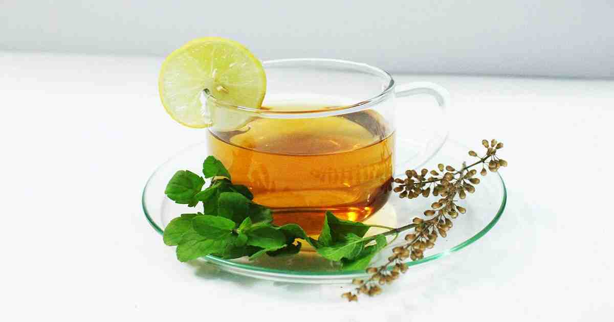 9421874 Tulsi Tea Health Benefits