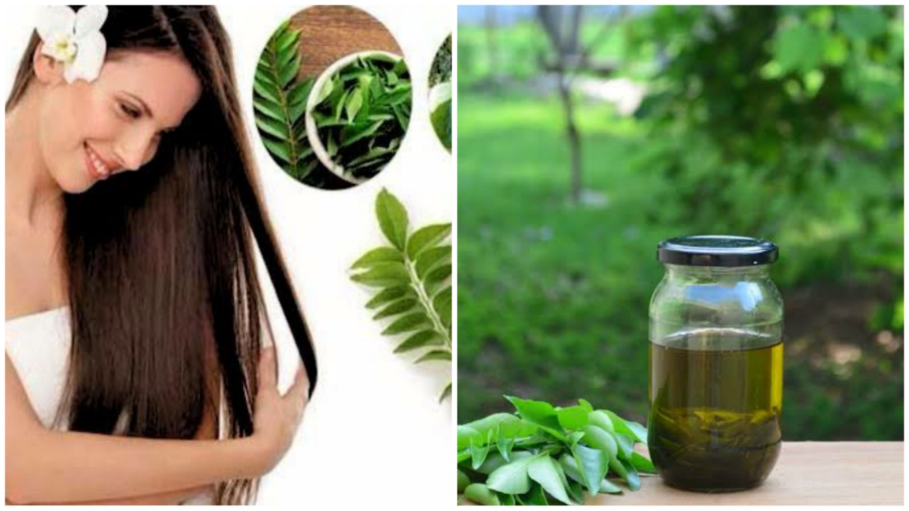 haircare benefits of curry leaves for hair
