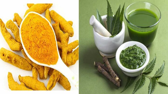 Use neem and turmeric like this you will get tremendous 696x391 1