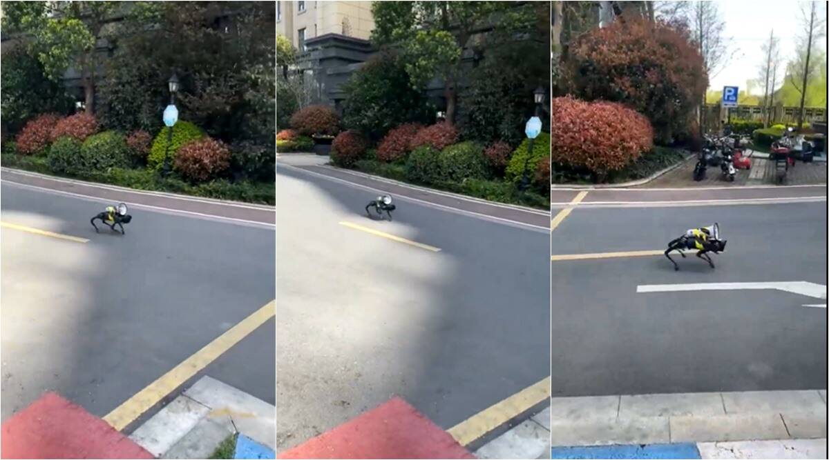 Robot Patrols Shanghai Streets With COVID Announcements Internet Amused