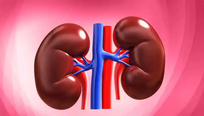 375375 kidney case gujarat
