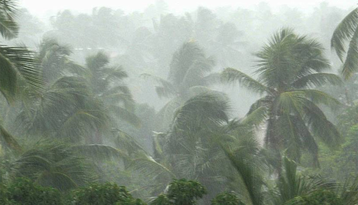 Rainy Kerala