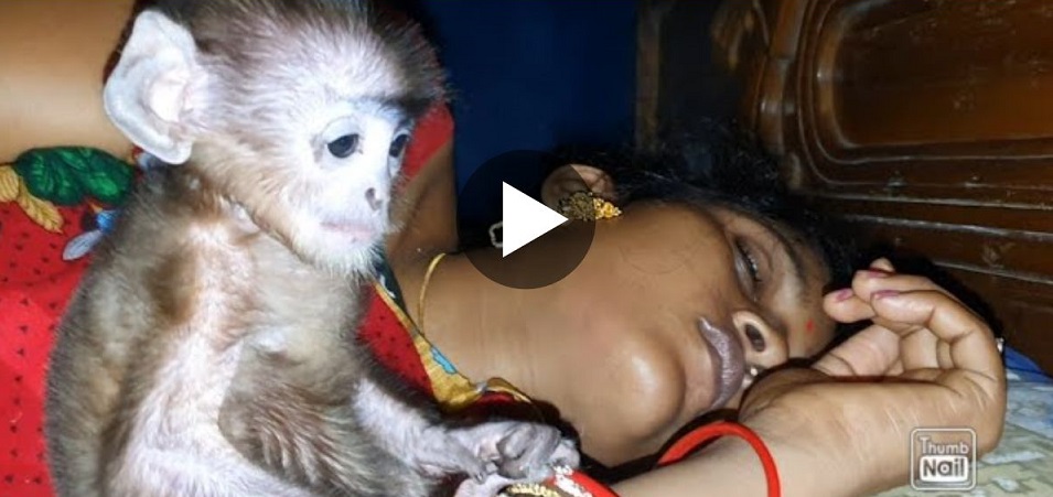 The monkey reached the woman who was sleeping at night then what if the video was recorded in the camera