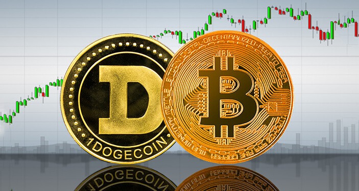 BitCoin shocked investors amid volatility DogeCoin took the lead
