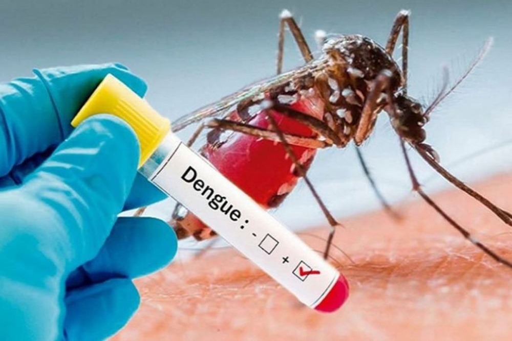 Caution Dengue could spread further this year alert issued plans being made for prevention