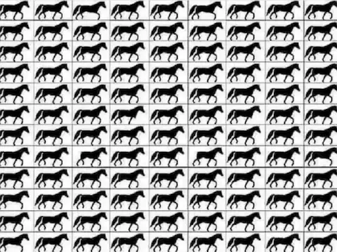 Do an eye test in 20 seconds show how many horses with 3 legs in this picture