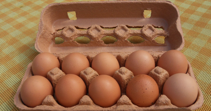 Is the egg fresh or stale Heres how to identify new and old eggs in the market.
