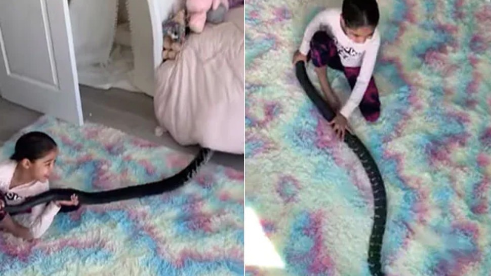 The girl grabbed the black giant snakes tail and started pulling it watch what happened next in the video