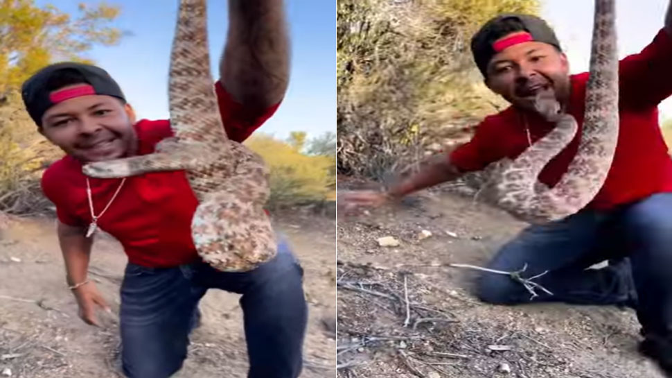 What a curious person did to catch a snake your tears will rise after watching the video