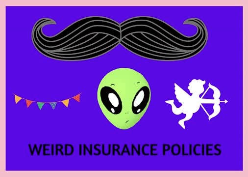 weird insurance 1